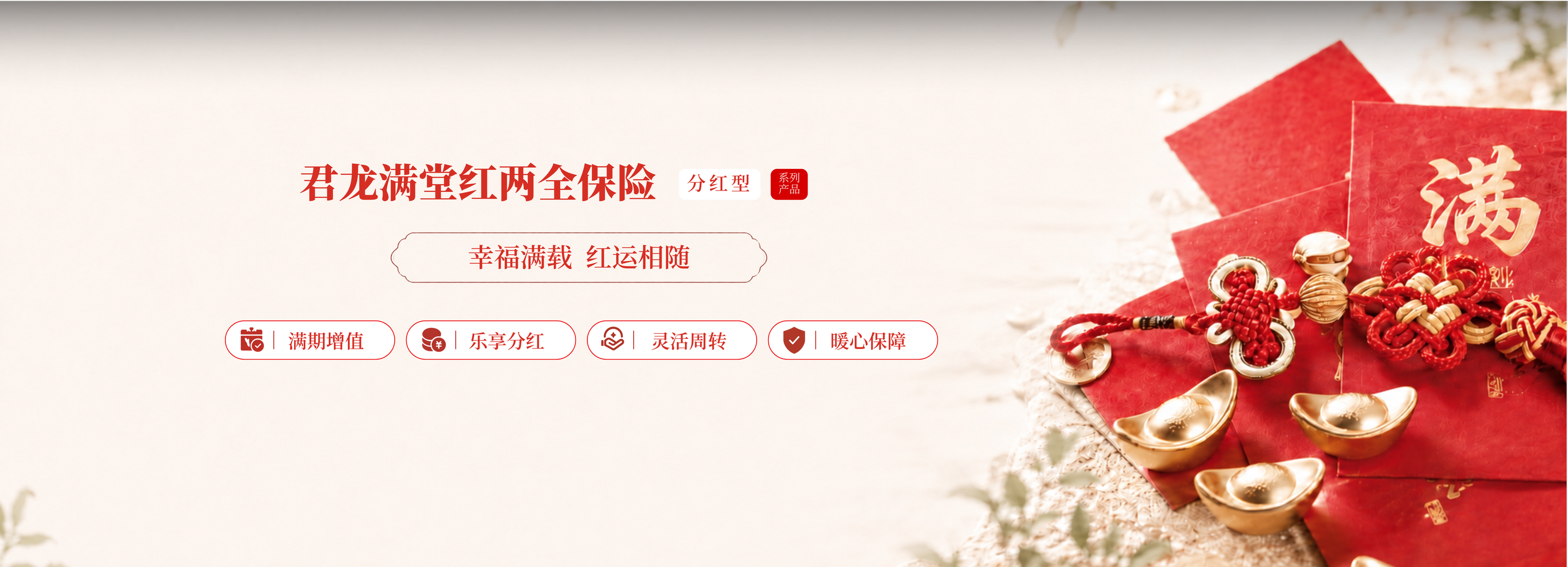 君龙人寿 君龙满堂红D款两全保险(分红型)